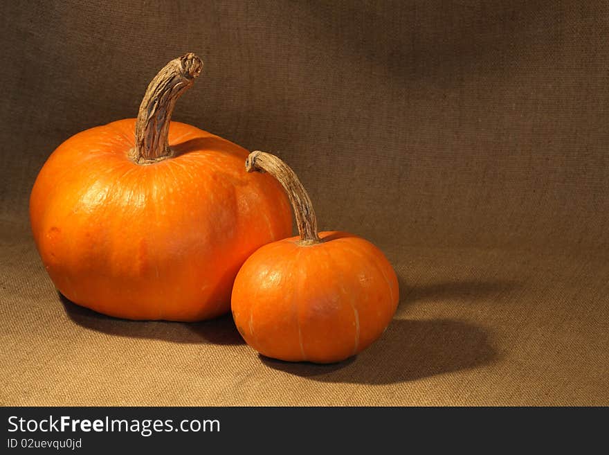 Two pumpkins on canvas texture with copy space