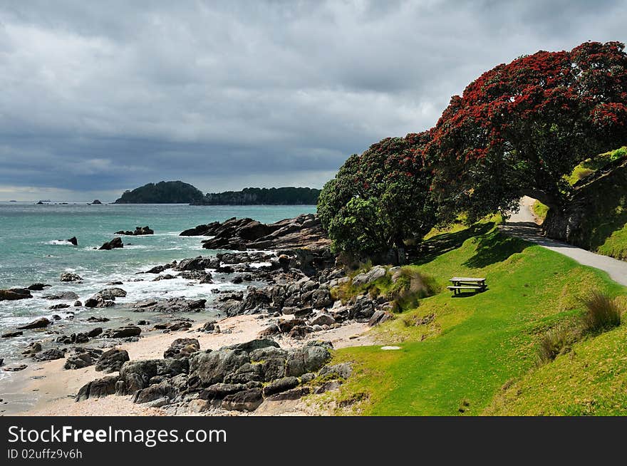 Rocky Coast, Coastal walk at Manganui, Bay of Plenty, New Zealand