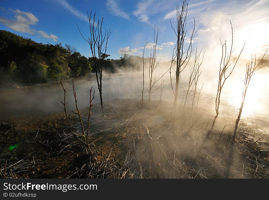 Thermal lake in the Kuirau park in Rotorua, New Zealand