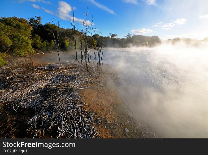 Thermal lake in the Kuirau park in Rotorua, New Zealand