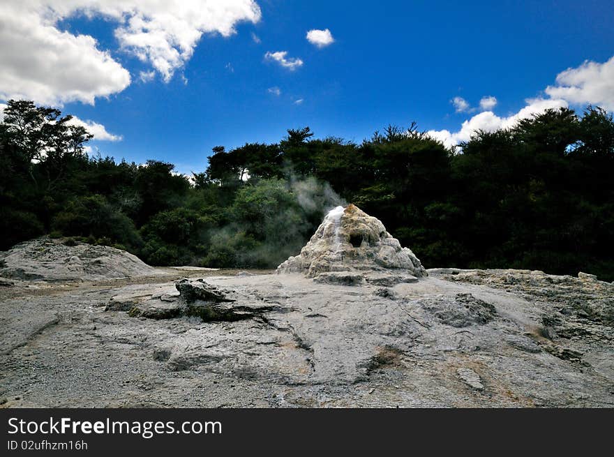 _Lady Knox Geyser, Wai-O-Tapu