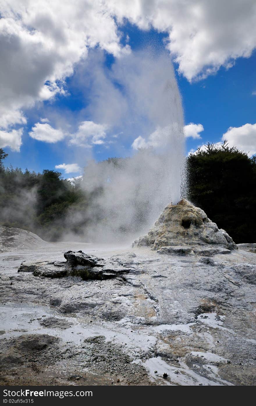 _Lady Knox Geyser, Wai-O-Tapu