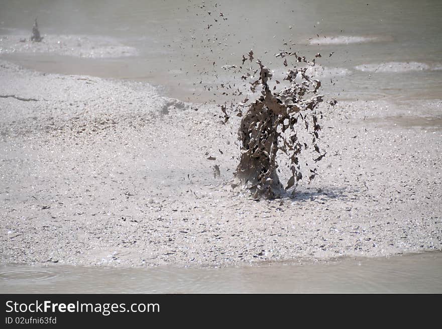 Boiling Mud, Wai-O-Tapu Thermal Wonderland