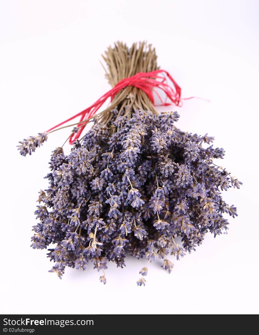 Bunch of dried lavender tied with a red string on white