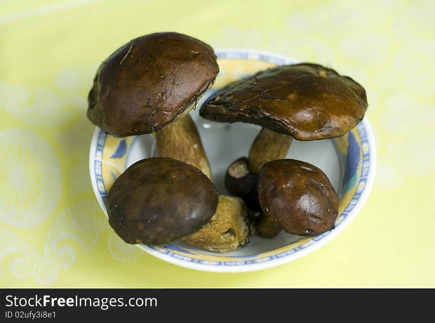 Mushrooms on plate on yellow