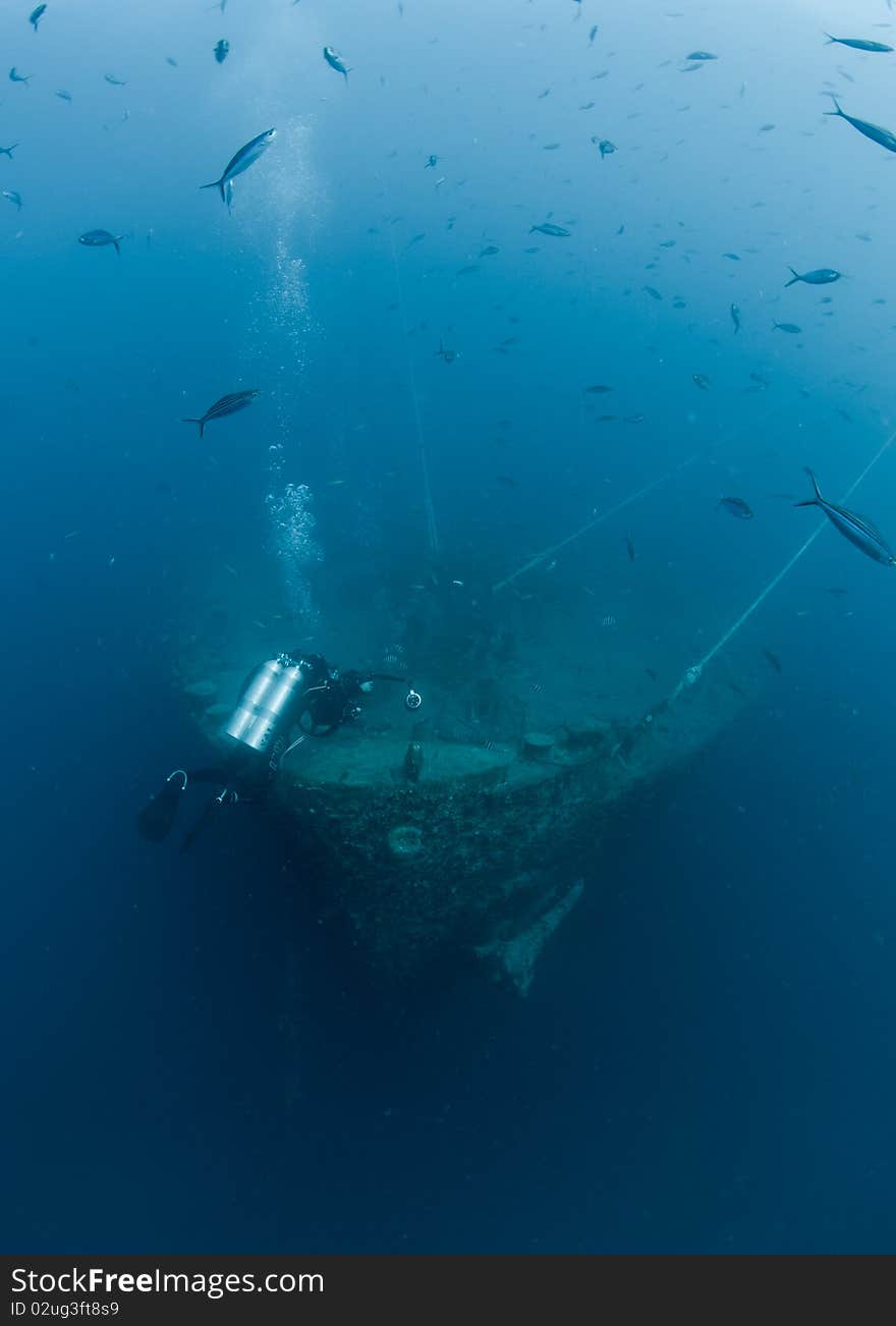 Scuba diver exploring Shipwreck SS Thistlegorm