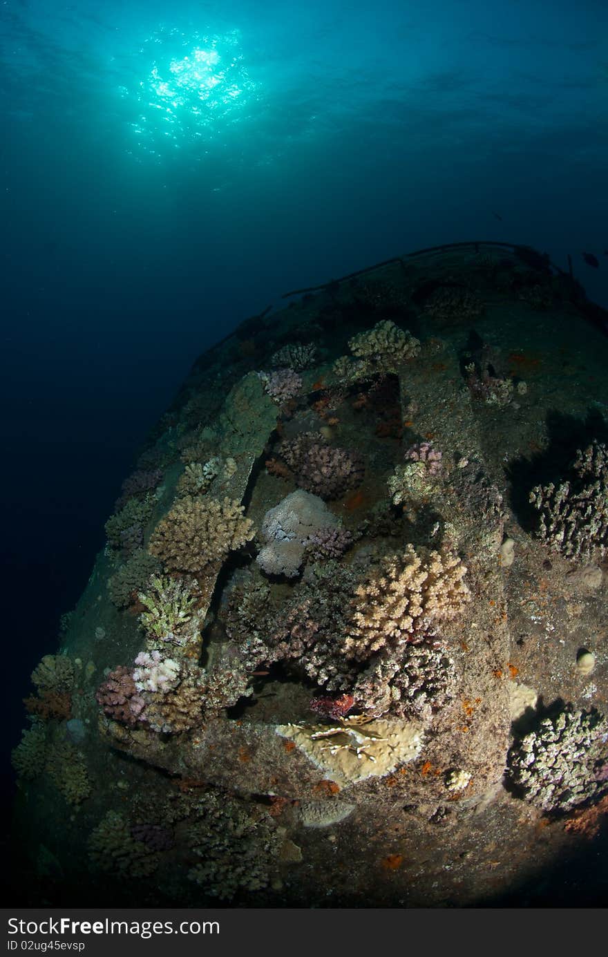 The funnel of the Red Sea shipwreck, Giannis D  Sha�ab Abu-Nuhas, Red Sea, Egypt. The funnel of the Red Sea shipwreck, Giannis D  Sha�ab Abu-Nuhas, Red Sea, Egypt.