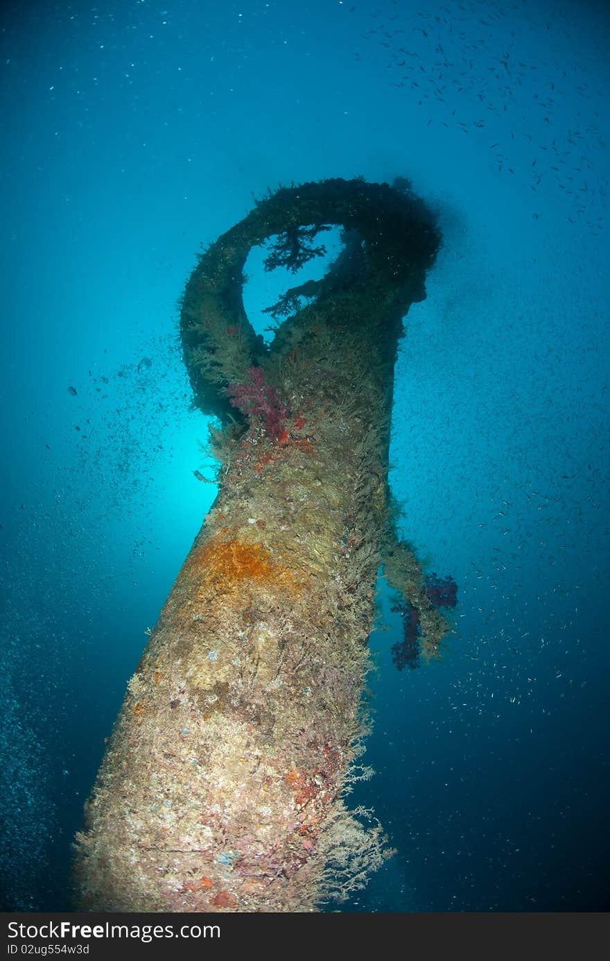 Crows nest on the mast of a shipwreck