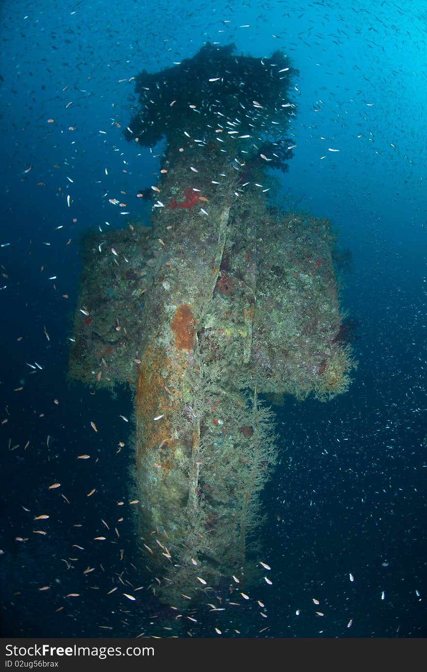 Crows Nest On The Mast Of A Shipwreck