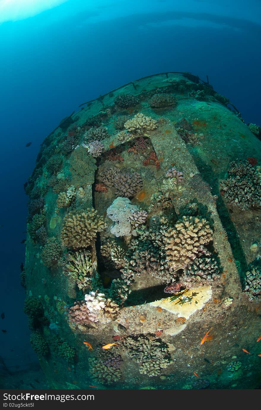 The funnel of the Red Sea shipwreck, Giannis D Sha�ab Abu-Nuhas, Red Sea, Egypt. The funnel of the Red Sea shipwreck, Giannis D Sha�ab Abu-Nuhas, Red Sea, Egypt.