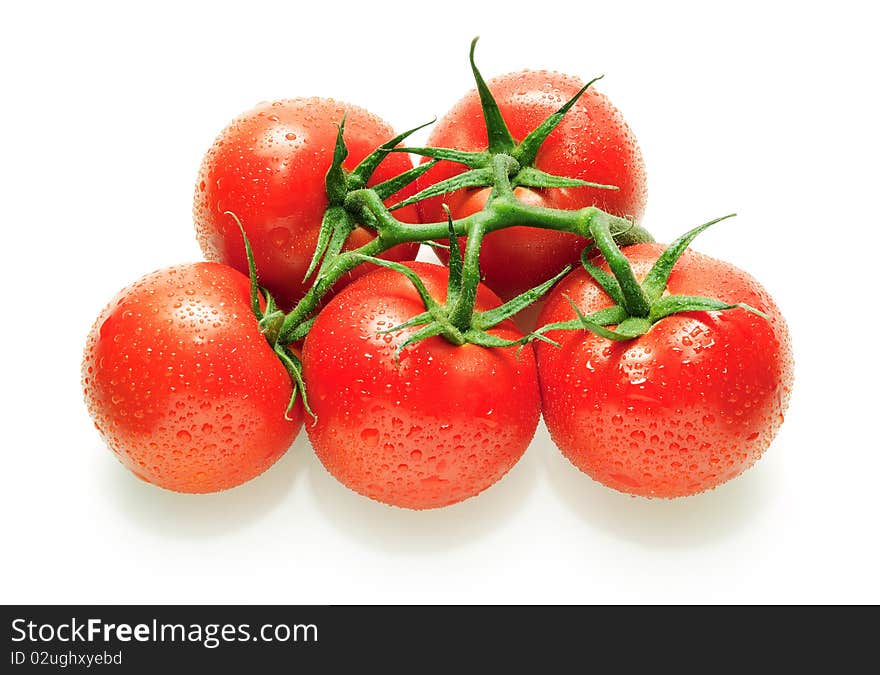 Five tomatoes on branch isolated on white background