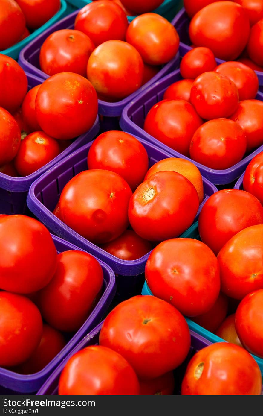 Late Tomatoes