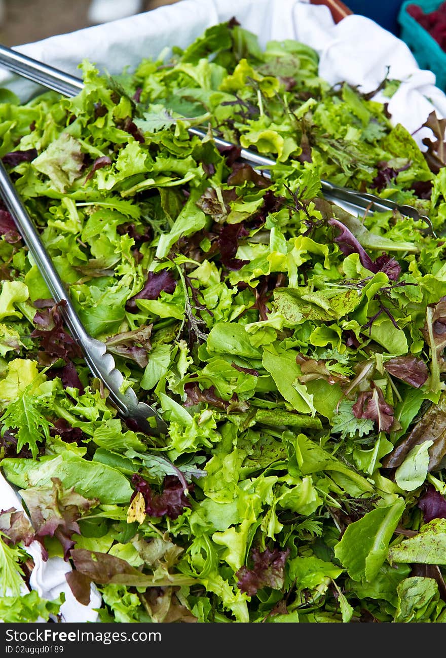 Organic Salad Mix