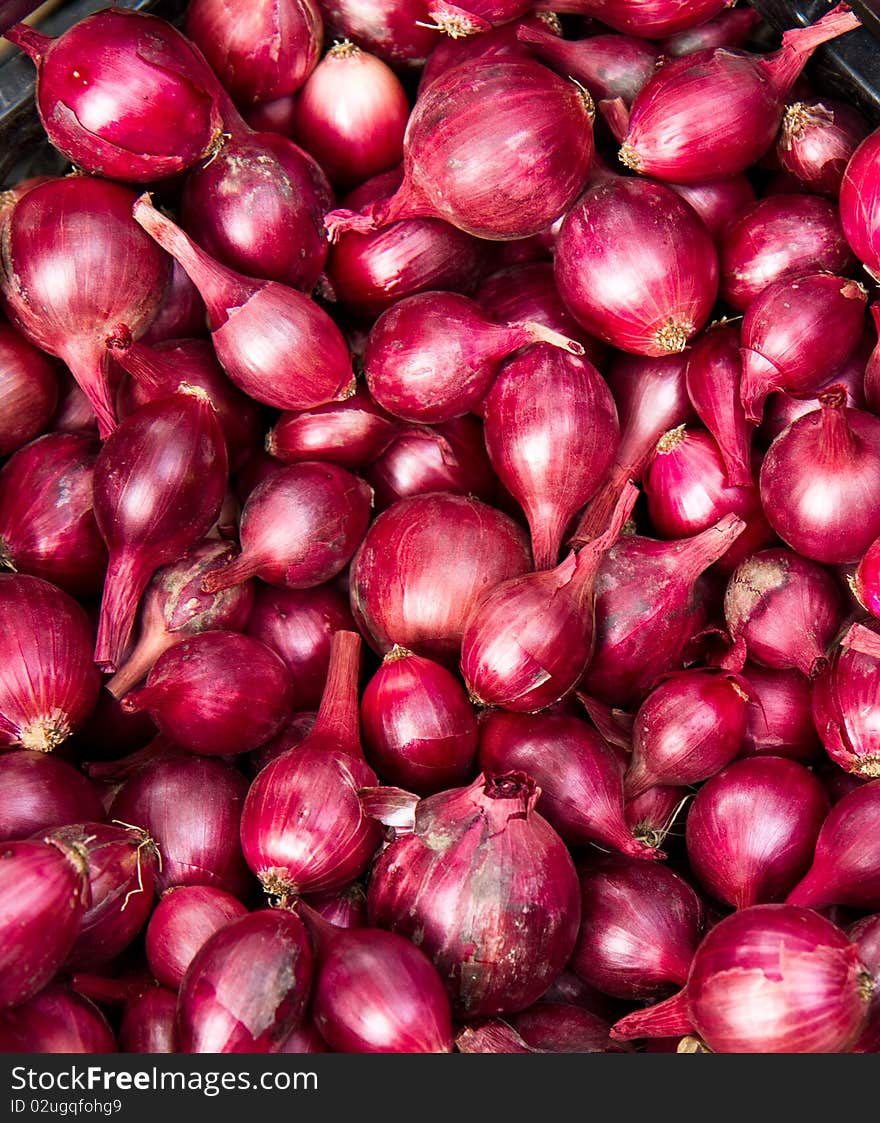 Purple Onions