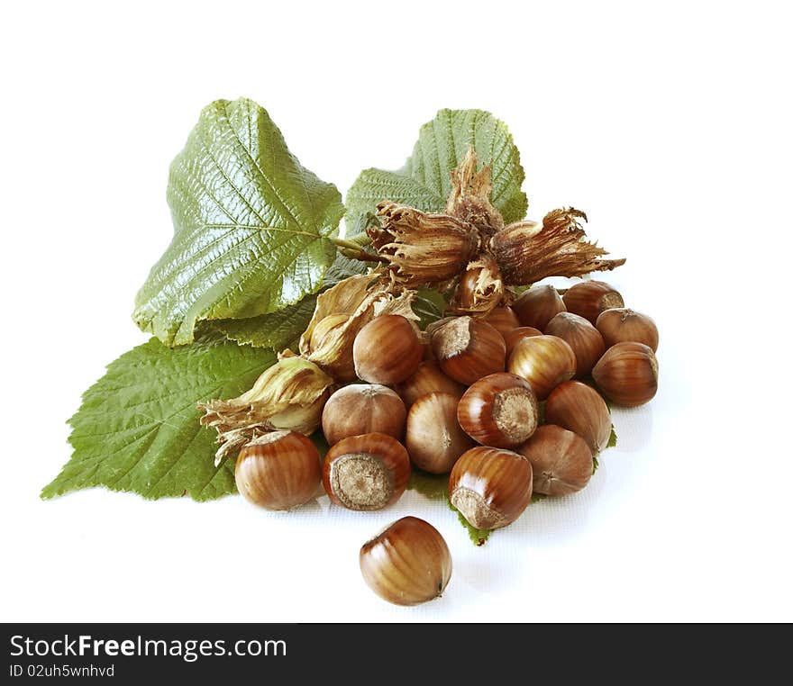 Hazel nuts and leaves on white background. Hazel nuts and leaves on white background