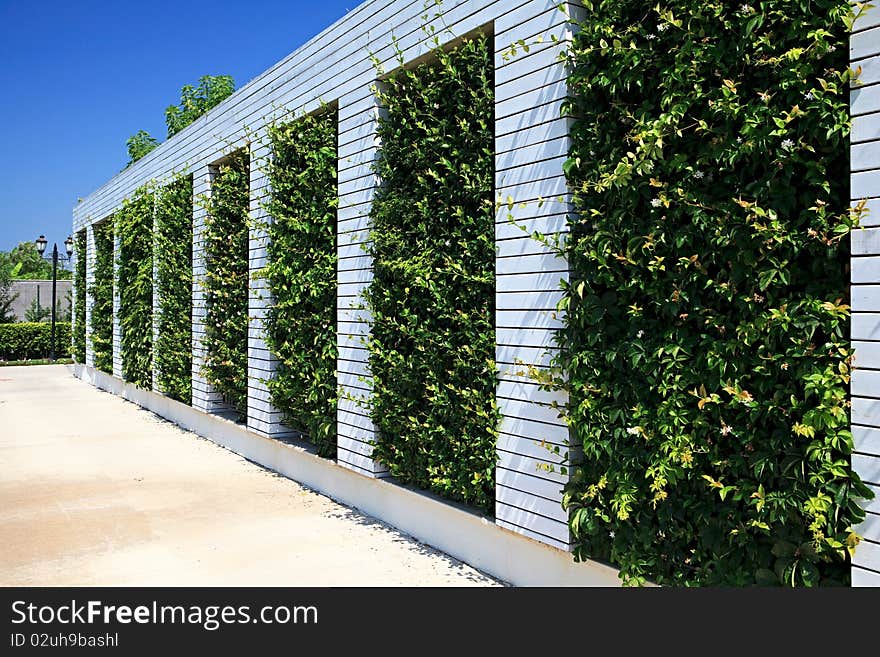 Fence With A Plant