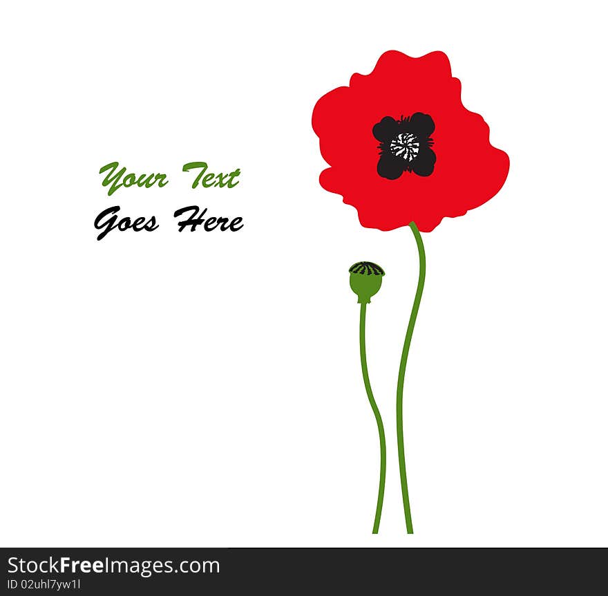 Red poppy. Poppy flower for any graphic project. Red poppy. Poppy flower for any graphic project.