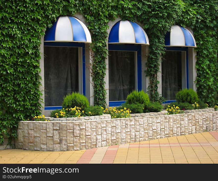 Flower bed beside windows cafe