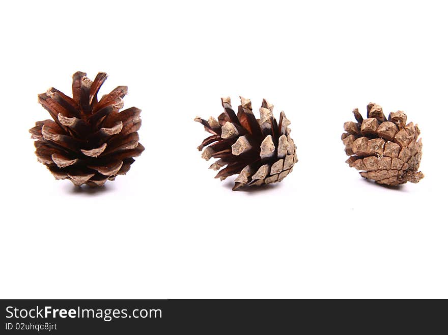 Cones of different size - from big to small