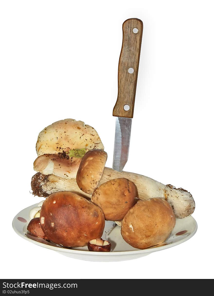 Ceps On A Plate