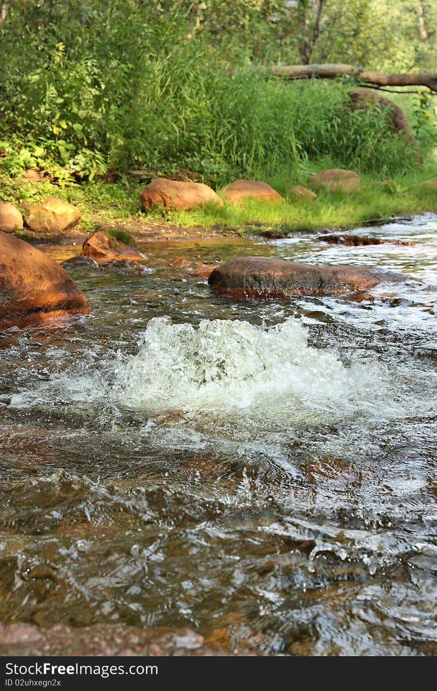 Water welling up from the earth. Water welling up from the earth