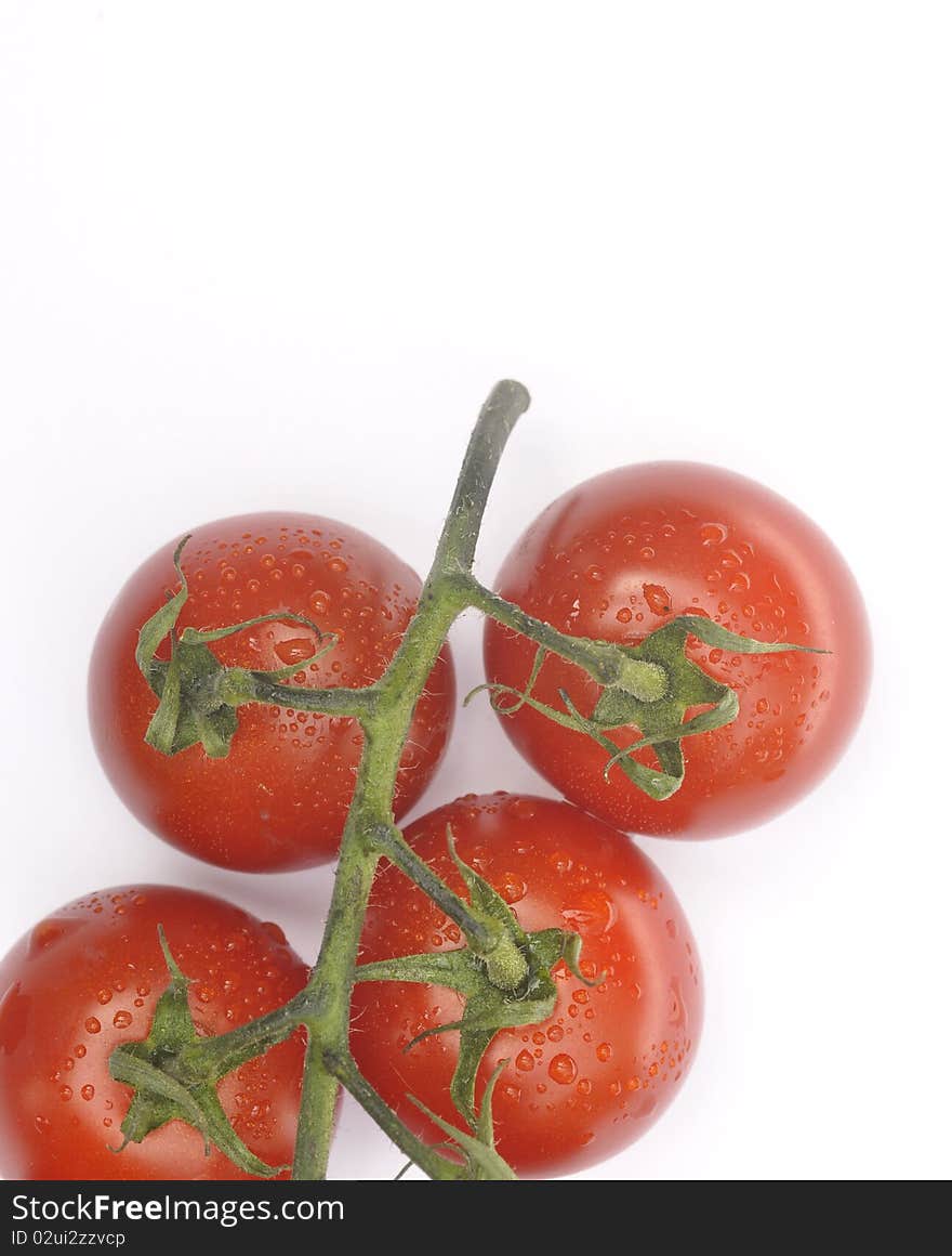 Ripe Vine Tomatoes