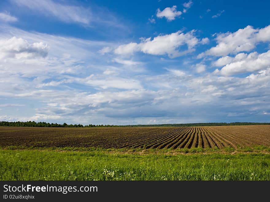 Green-blue summer landscape