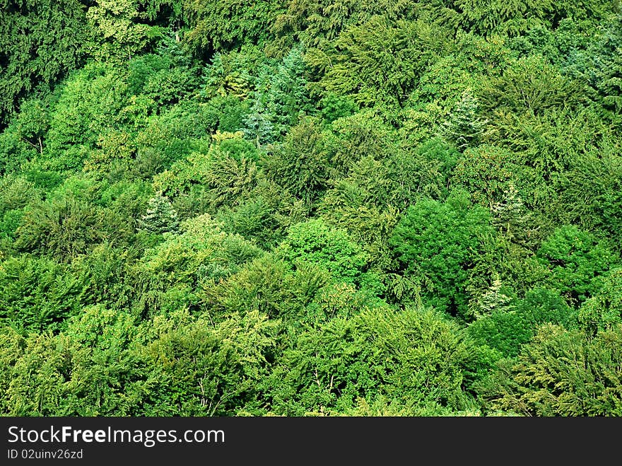 Look down to the Alpbad forest close to Sissach