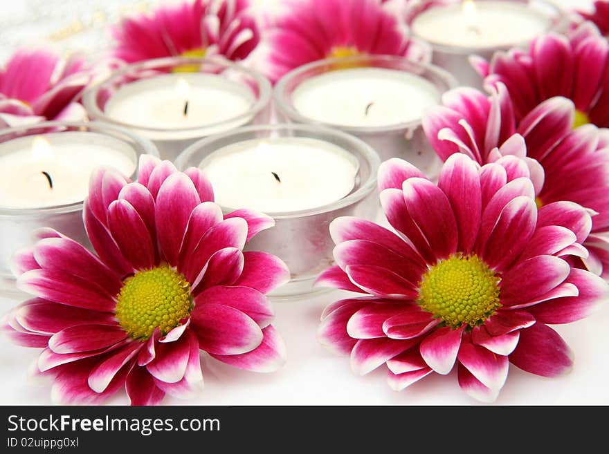 Candles and flowers on a white background