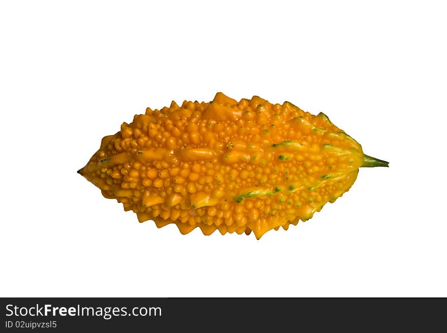 Golden fruit bitter gourd White background