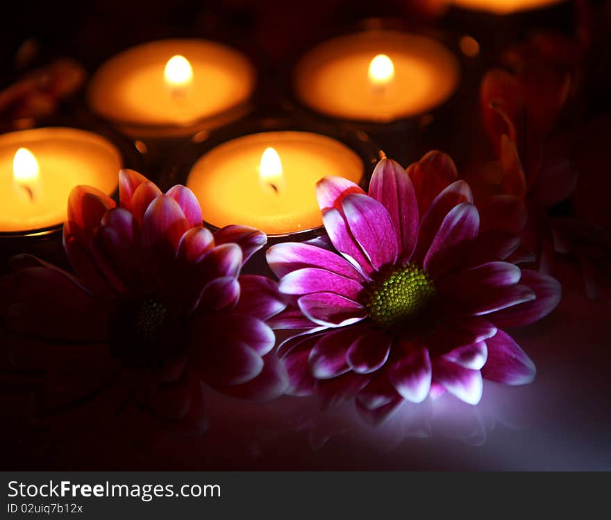 Pink flowers and burning candles. Pink flowers and burning candles