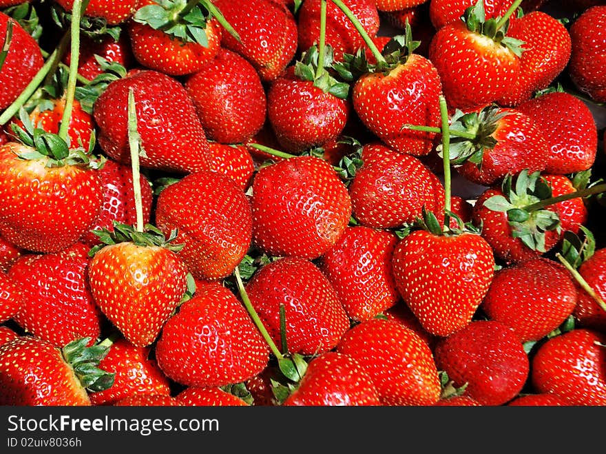 Red strawberries in a market. Red strawberries in a market