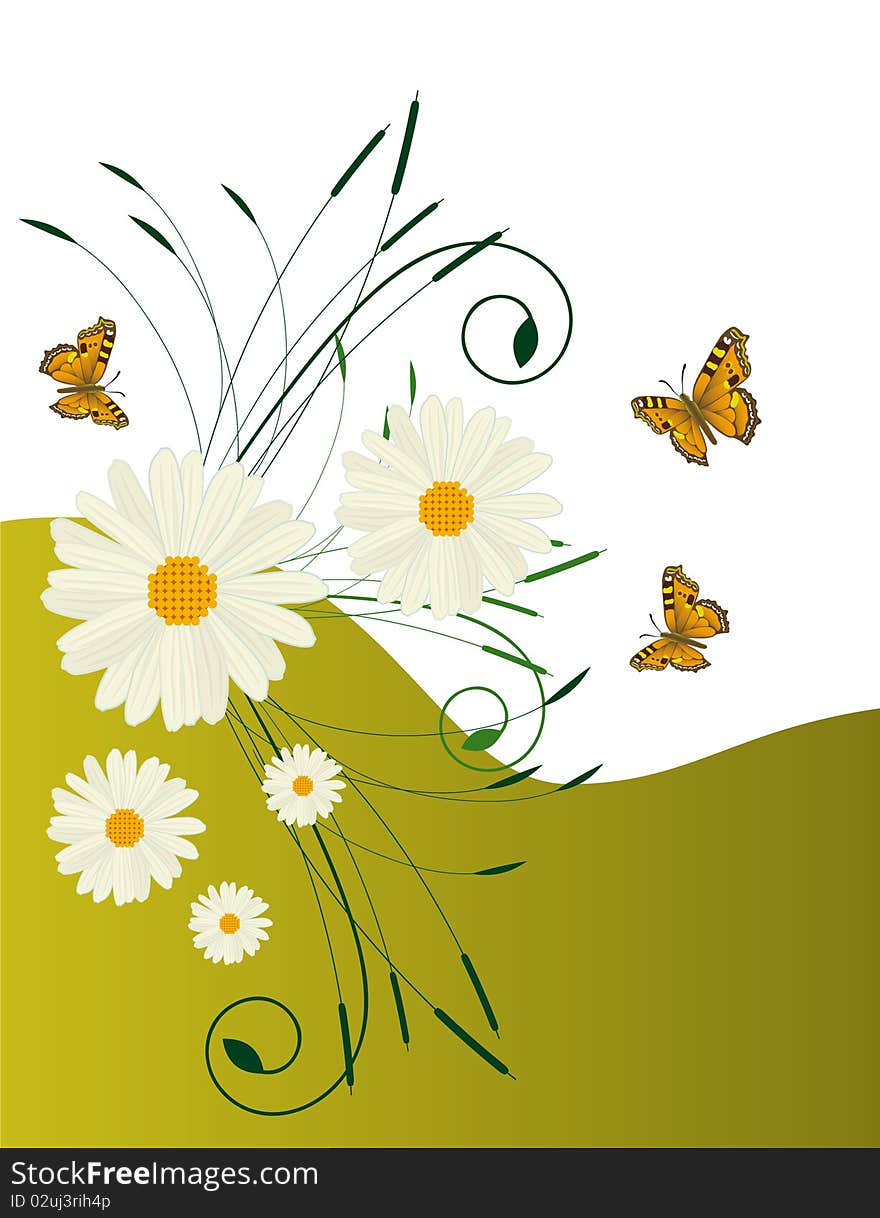 A Background With Daisies And Butterflies