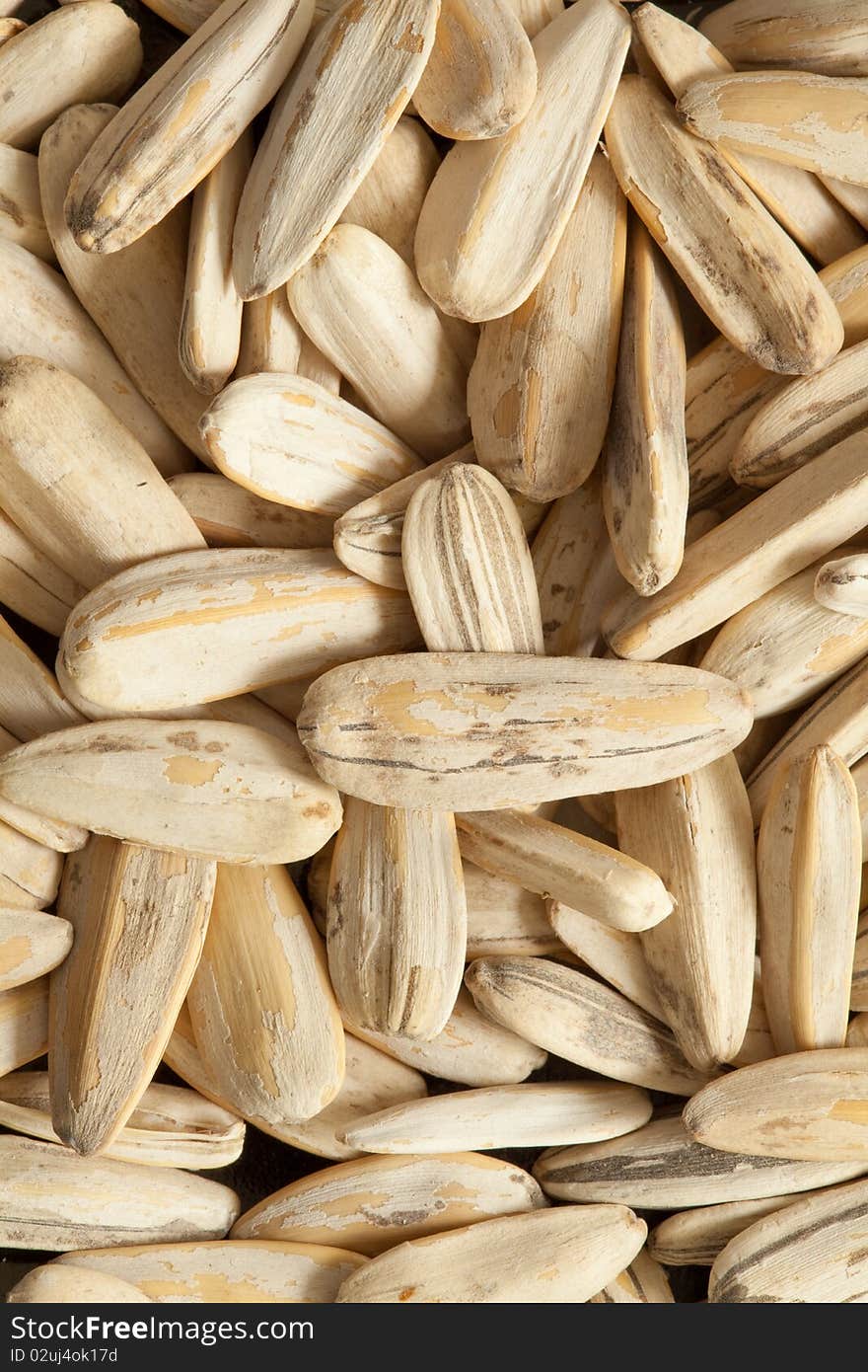 Sunflower seeds closeup