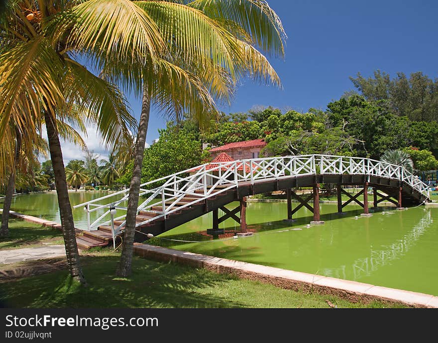 Foot-bridge With Reflection In Hesone Park