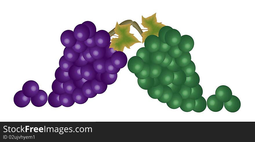 Grapes