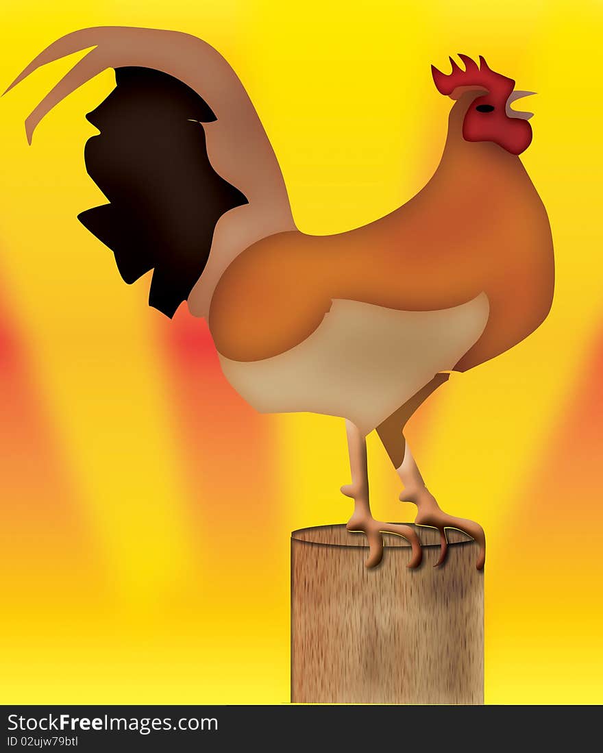 Rooster