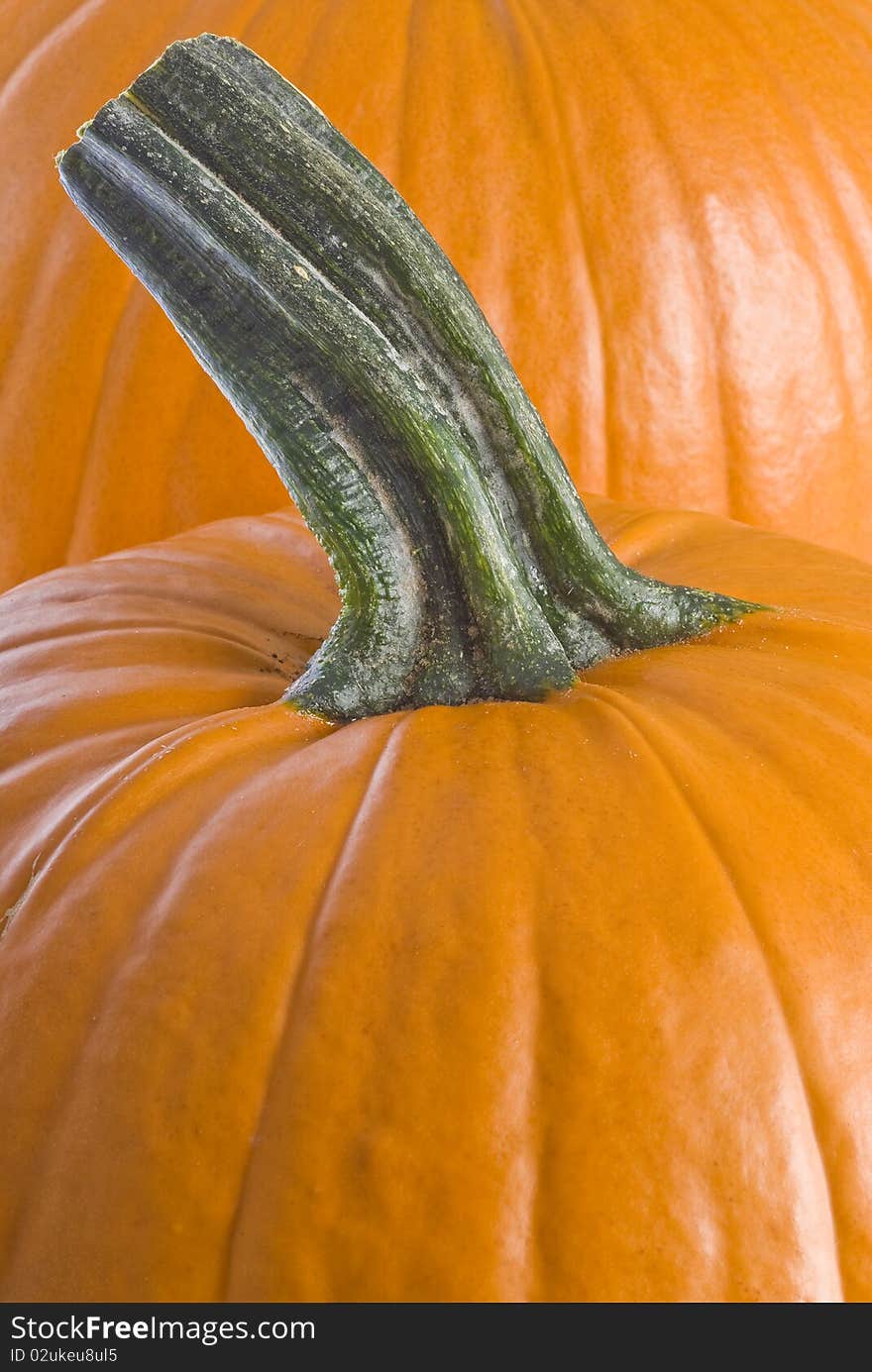 Close of one big pumpkin. Close of one big pumpkin.