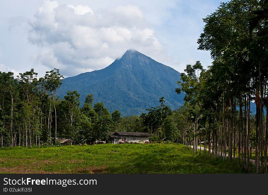 The mountain is surrounded by nature