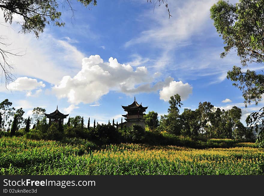 Park scenery