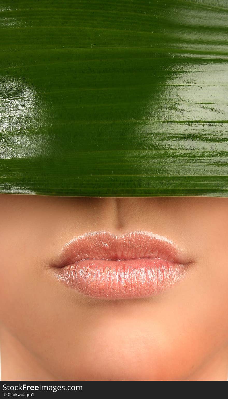 Sexy lips and green leaf. Sexy lips and green leaf