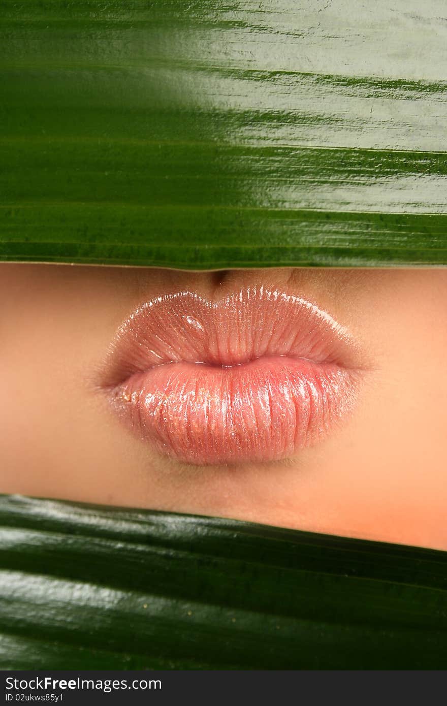 Sexy lips and green leaf. Sexy lips and green leaf