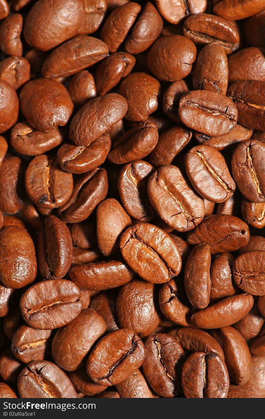 Close up of spilled brown coffee beans. Close up of spilled brown coffee beans