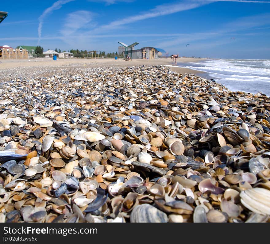 He sea coast is covered by cockleshells different in the size and on structure. He sea coast is covered by cockleshells different in the size and on structure