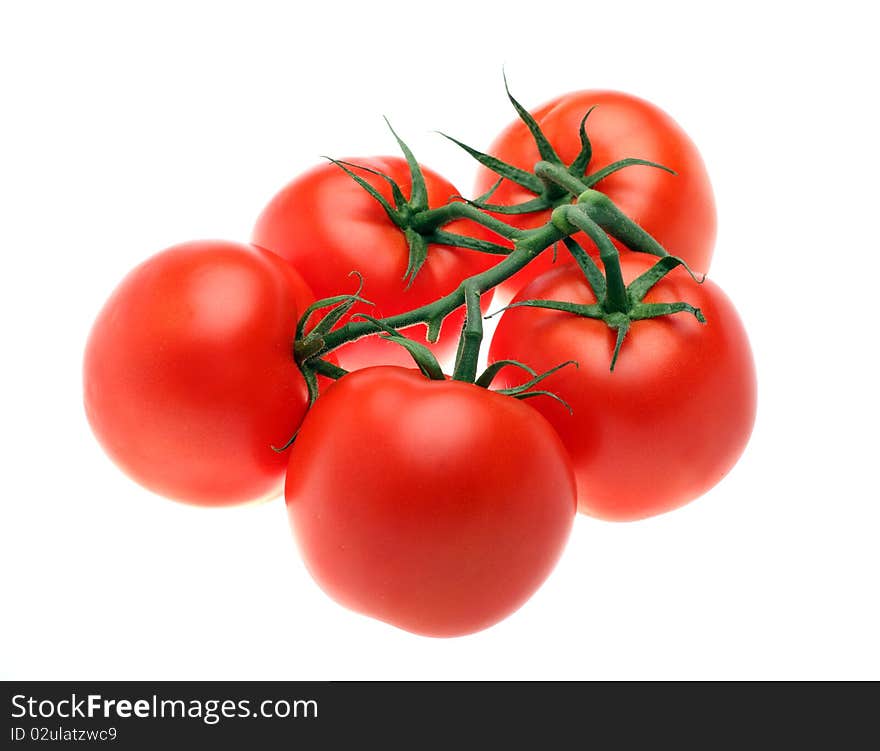 Backlighted shadowless tomatoes isolated over white background. Backlighted shadowless tomatoes isolated over white background