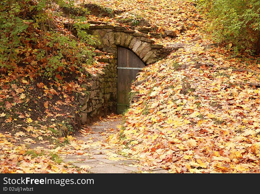 View of beautiful golden autumn park. View of beautiful golden autumn park