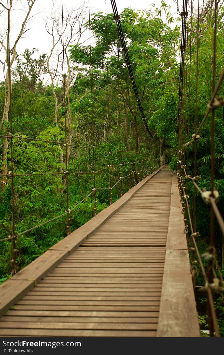 rope bridge go to waterfall