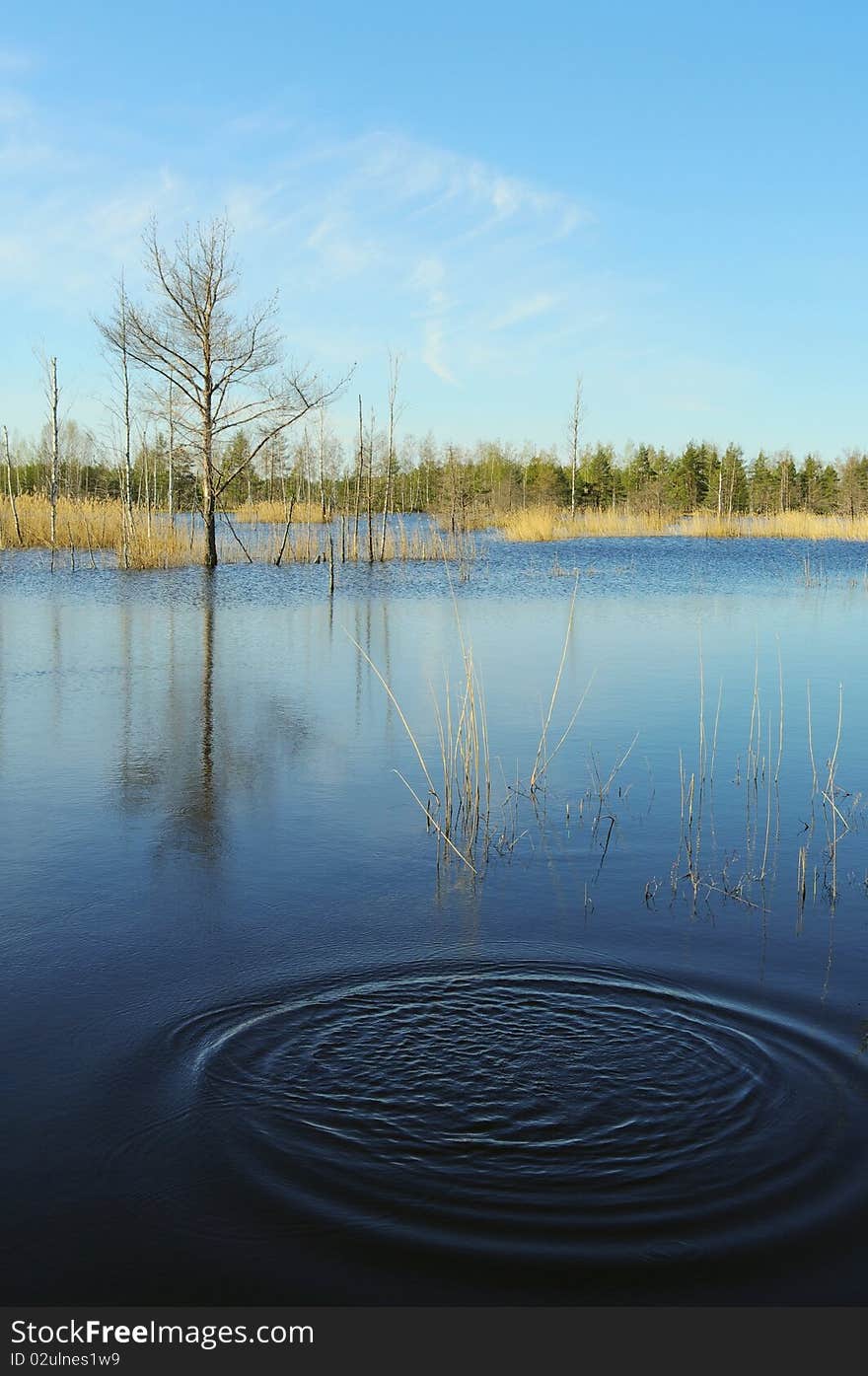 Landscape with circle on the water. Landscape with circle on the water.