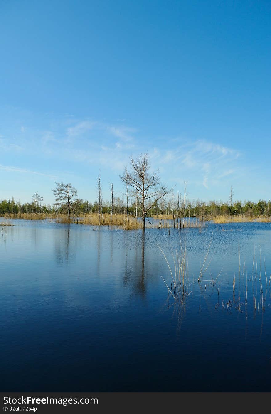 Blue lake with tranquil water. Blue lake with tranquil water.