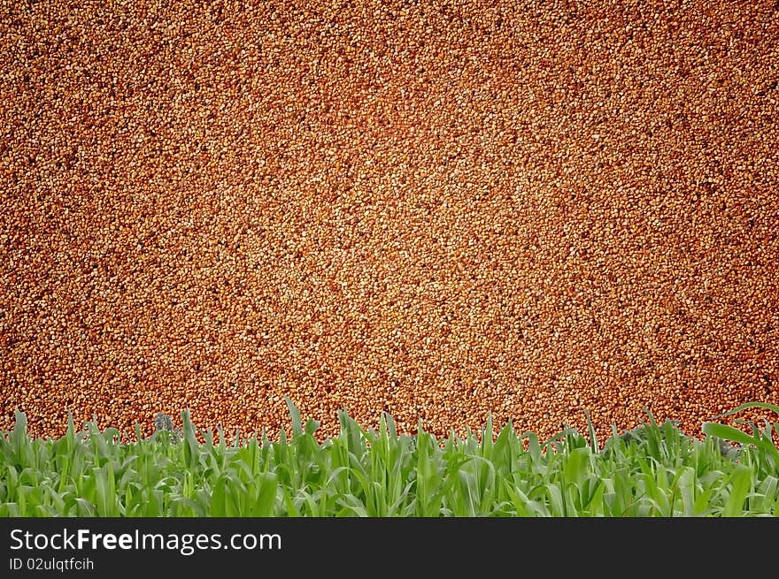 Sandwall and grass background view